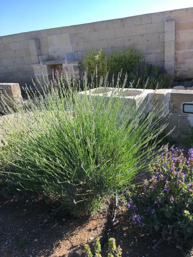Masseria Asteri B&B Cannole Экстерьер фото